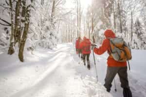 Un groupe qui fait de la marche nordique dans la neige